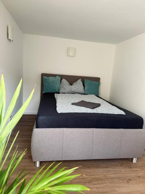 Business Apartment Naehe Bonn Königswinter Dış mekan fotoğraf